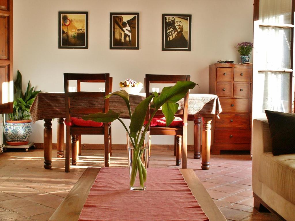 Hostel Oasis Backpackers' Granada